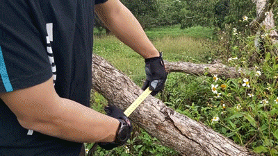 1696568872845460.gif 8.gif